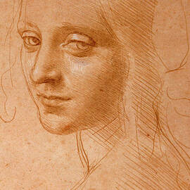 Study for the Angel of the Virgin of the Rocks by Leonardo da Vinci