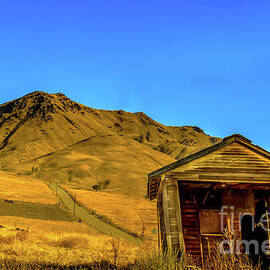 Stunning Old Homestead by Robert Bales