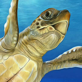 Stylized Loggerhead Sea Turtle by Dawn Witherington