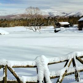 Sugar Hill winterscape