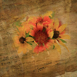 Summer Sun Flowers Song by Toni Hopper