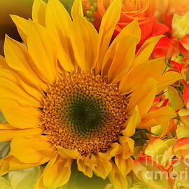 Summertime Beauty - Sunflower by Dora Sofia Caputo