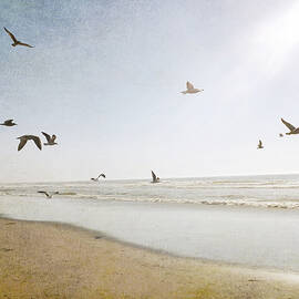 Sun Birds by Lupen Grainne