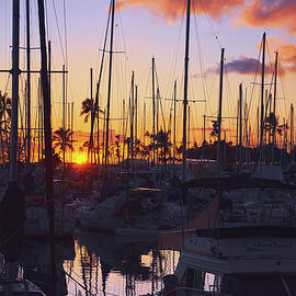 Sun Setting at the Harbor by Lucinda Walter