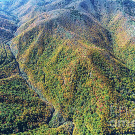 Sunburst Falls and Fork Ridge in Middle Prong Wilderness in Hayw by David Oppenheimer