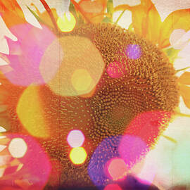 Sunflower Daydreams by Toni Hopper