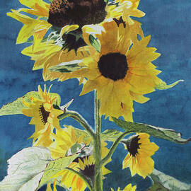 Sunflower Season by Christopher Reid