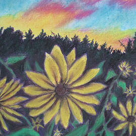 Sunflower Sunset by Jen Shearer