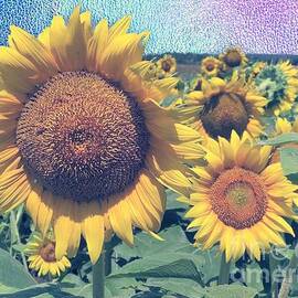 Sunflowers and Sky by Jenny Revitz Soper