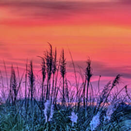 Sunrise at Wild Dunes by Maryanne Keeling