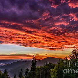 Sunrise from the Williams River Valley Overlook by Thomas R Fletcher