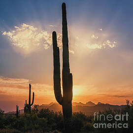 Sunset at Lost Dutchman State Park, Arizona