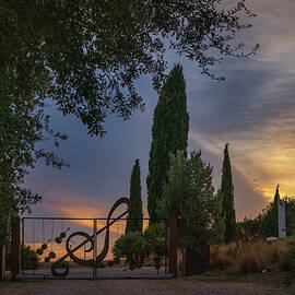 Sunset In The BotanicalDryGarden. Orbetello. Italy by Nina Kulishova