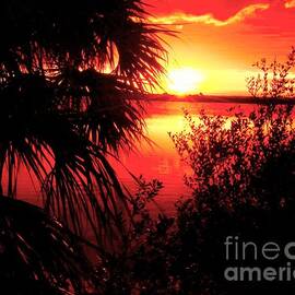 Sunset Merritt Island Florida by Charlene Cox