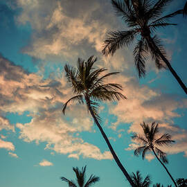 Sunset On Lahaina  by Kelly Wade