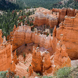 Sunset Point Hoodoos at Bryce Canyon  by Anthony Sacco