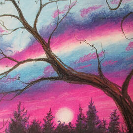 Sunsetting Tree by Jen Shearer