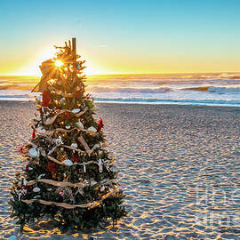 Sunstar Christmas Tree by Erin O'Keefe