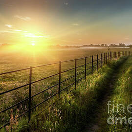 Super sunrise over farm fields cattle fence and track by Simon Bratt