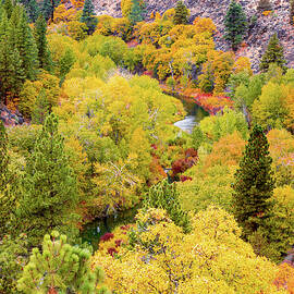 Susan River Canyon Autumn Vista by Mike Lee