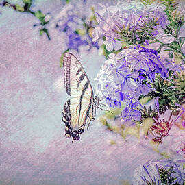 Swallowtail Butterfly on Plumbago Flowers Dream Texture 1 by Linda Brody