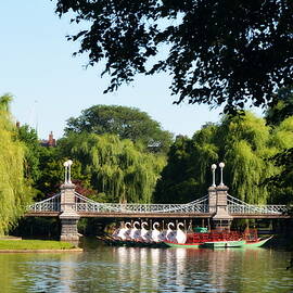 Swan Boats on Boston Commons Lagoon by Carla Parris