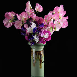Sweet Peas by Phil And Karen Rispin