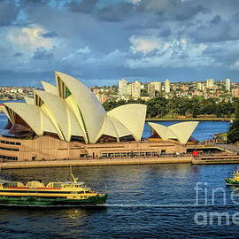 Sydney Opera House Australia by Diana Mary Sharpton