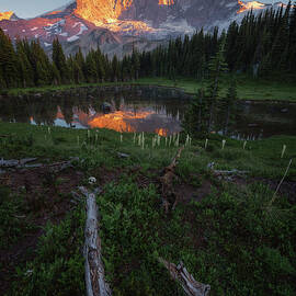 Tahoma Wilderness by Ryan McGinnis
