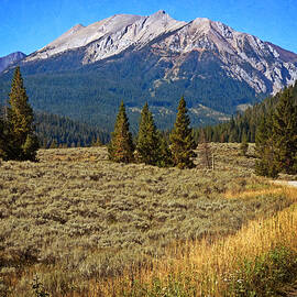 Taylor Fork Mountain 6 by Marty Koch