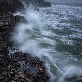 Tempest Fury by Darren White