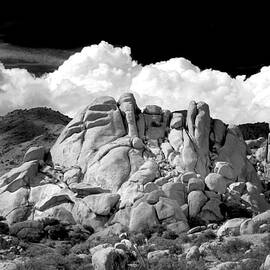 Texas Canyon Monochrome by Douglas Taylor