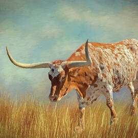 Texas Longhorn 1 by Judy Vincent