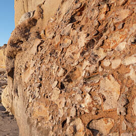 Textured Cliffs at Torrey Pines Beach