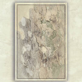 Textured Sycamore-1