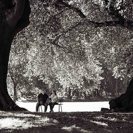 The Conversation Under The Shadow Of The Trees. by Nina Kulishova