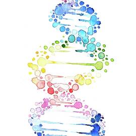 The DNA by Chirila Corina