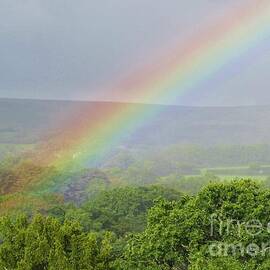The End Of The Rainbow by Lesley Evered