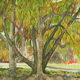 The eucalyptus near the field by Ofra Wolf