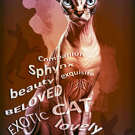 The Extraordinary Sphynx Cat by Carmen Hathaway