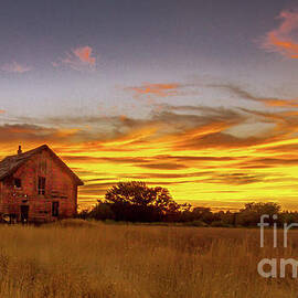 The Famous Knox Barn by Robert Bales