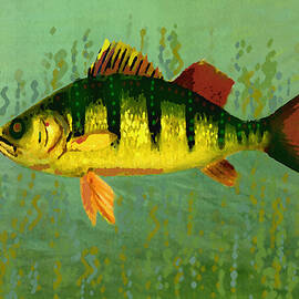 The Fanciful Limon Barb by Shelli Fitzpatrick