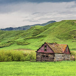 The Felton House by Todd Klassy
