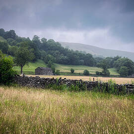 The fields of Swaledale by Jane Selverstone