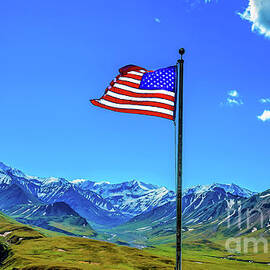 The Flag Of Freedom by Robert Bales