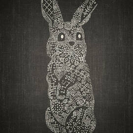 The fundamentally friendly bunny by Ema Paraschiv