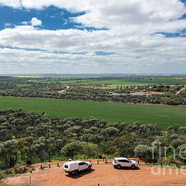 The Green Fields of Mingenew, Western Australia by Elaine Teague