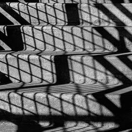 The Grid by Gerri Bigler