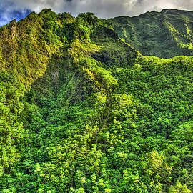 Oahu Hawaii Stairway To Heaven The Haiku Stairs Seascape Landscape Art by Reid Callaway