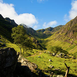 The Hidden Valley appears by Chris Chapman